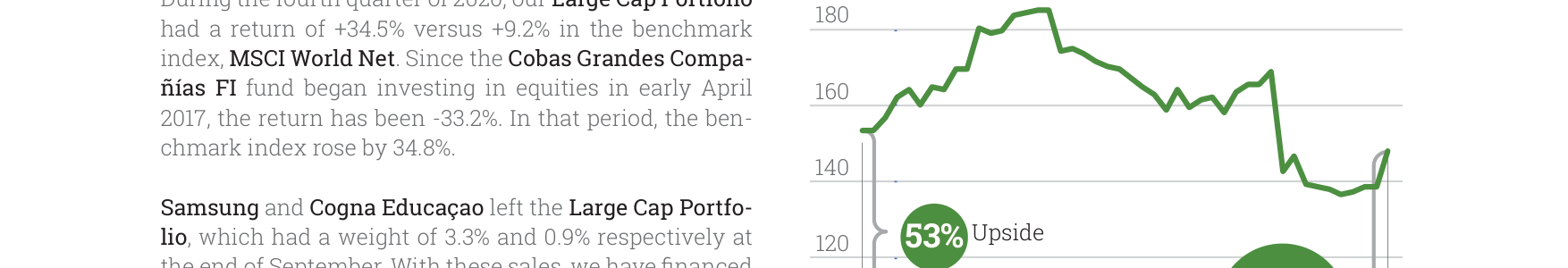 Large Company Portfolio