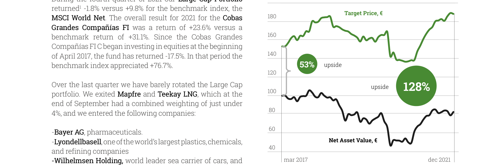 Large Cap Portfolio